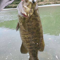 晩秋川バス釣行