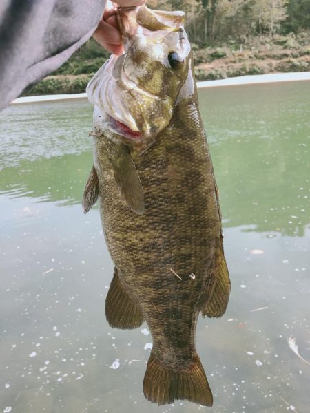 晩秋川バス釣行