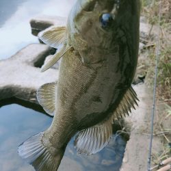 晩秋川バス釣行2