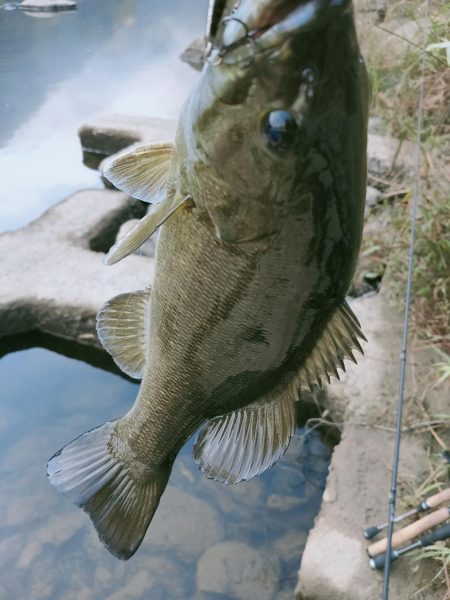 晩秋川バス釣行2
