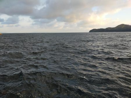 泳がせでゲット