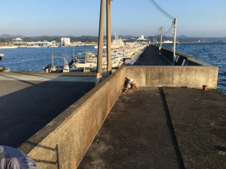 シマアジ、アイゴ