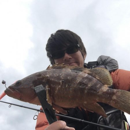 デイでアジと根魚がRIDEON!