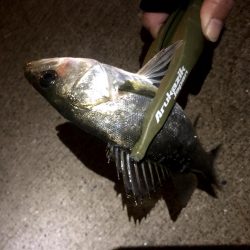 仕事終わり四目ライトゲーム