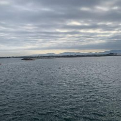 ミニアコウ釣りました。