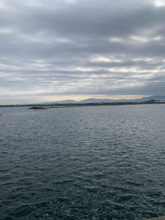 ミニアコウ釣りました。