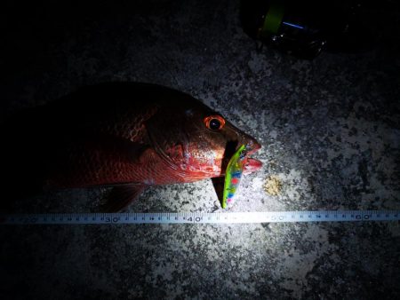 段々とサイズアップ