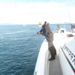 大阪湾 遊漁船SOUTH(サウス)11/5釣果