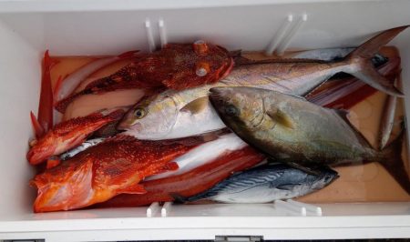 康仁丸・ジギング釣り果