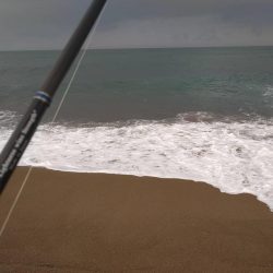 サーフジギング