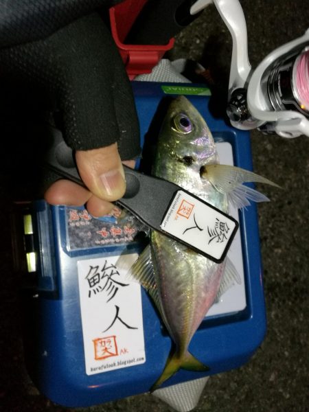 （2020/11/10 南港アジング　 好…