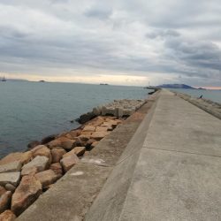 ジグでシーバス