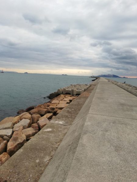 ジグでシーバス