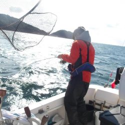 遊漁船SOUTH 11/11釣果