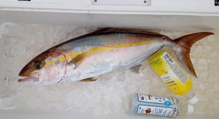 康仁丸・ジギング釣り果