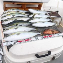 遊漁船SOUTH(サウス)釣果