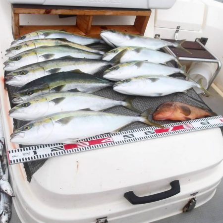 遊漁船SOUTH(サウス)釣果