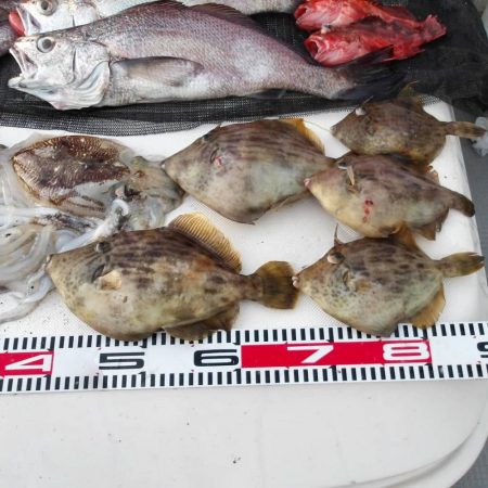遊漁船SOUTH(サウス)釣果