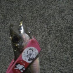 釣りデビュー 9日目