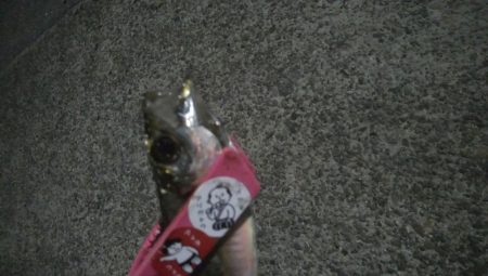 釣りデビュー 9日目