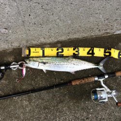 早朝プチsalt water game