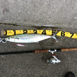 早朝のプチsalt water game！