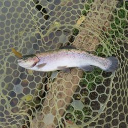 久しぶりのエリア！