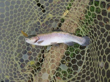 久しぶりのエリア！