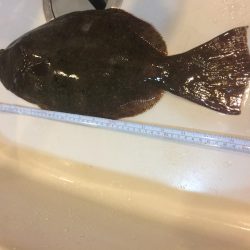 魚より釣り人多し