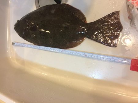 魚より釣り人多し