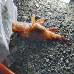 結果オーラ(*^^*)