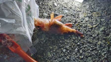 結果オーラ(*^^*)