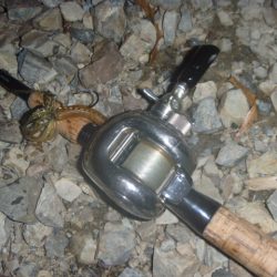 今年初チャター