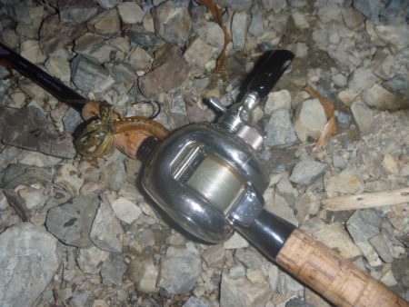 今年初チャター