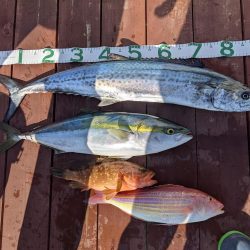 爆風スランプ荒れちゃん