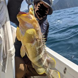 サワラはうみゃーー