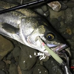 ドブから清流へ