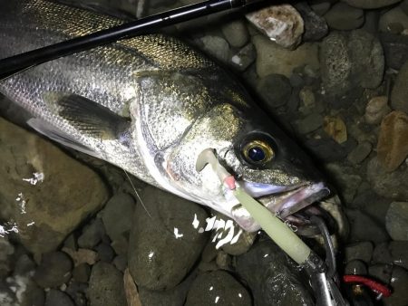 ドブから清流へ