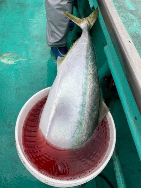 広進丸 釣果