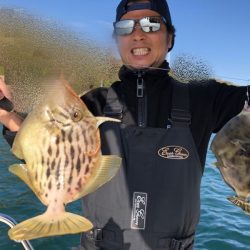 Magic(マジック) 釣果