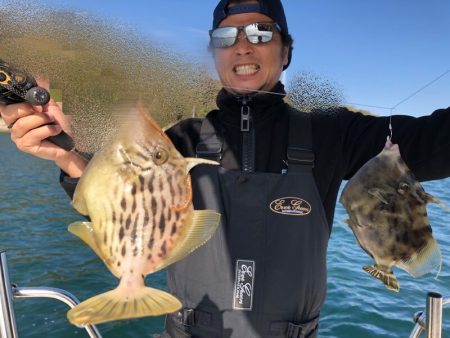 Magic（マジック） 釣果