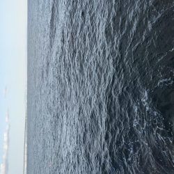 ショアジギングでサゴシ