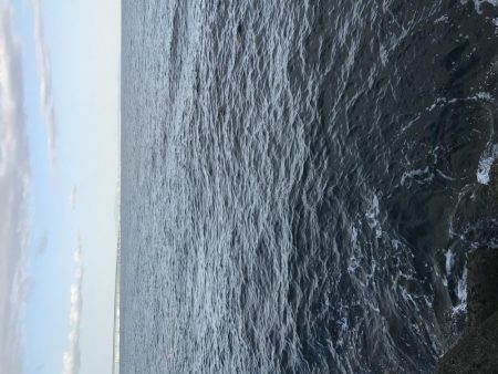 ショアジギングでサゴシ