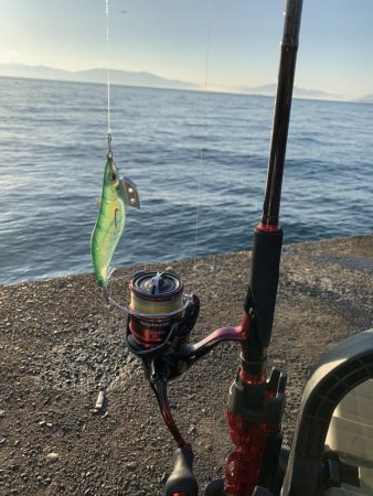 ラストエギング