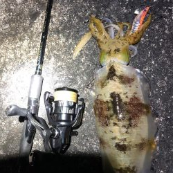 2020佐渡ヶ島エギング 42回目