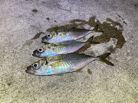 瀬戸内の島アジングとショアジギング