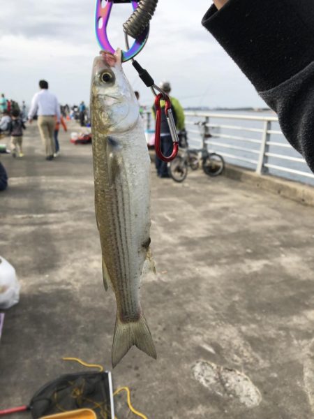初めてのルアー釣果！！