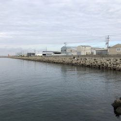 チヌベスト最高！