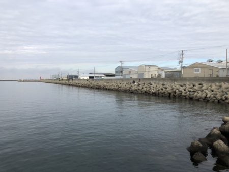 チヌベスト最高！