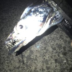 シーズン初のマルチヒット